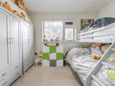 Picture 23